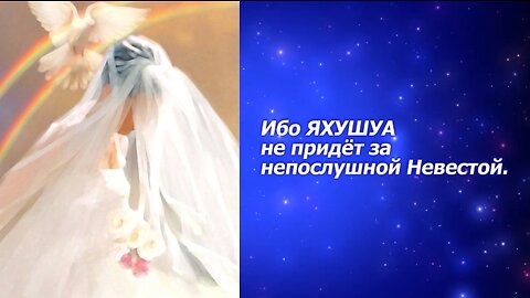 2022 - Пророчество 59 "Я Не Иду За Непослушной Невестой!"