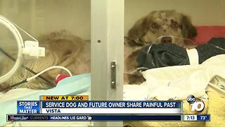 Service dog and future owner share painful past