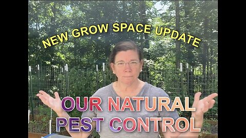 New Grow Space Update & Our Natural Pest Control