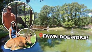The BEST Wildlife Park in Wisconsin - Find Out Why It's So Awesome