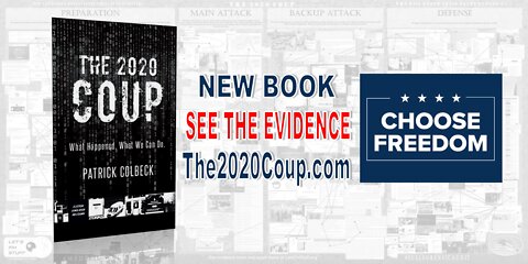 The 2020 Coup Book Summary