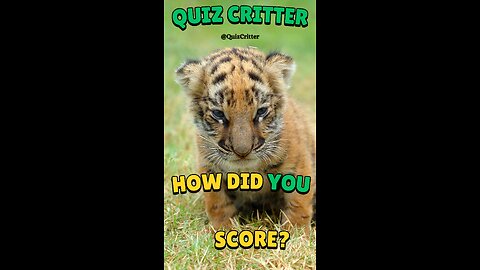 Quiz Critter USA - Alabama #shorts #animals #quiz #usa