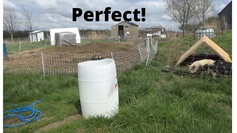 Making a Pig Waterer Plus a Farm Update