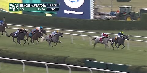 The Grey Wizard is flying in the Gold Cup