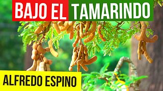 BAJO EL TAMARINDO ALFREDO ESPINO 👨‍🌾🫒 | Jícaras Tristes Auras del Bohío 🍯 | Alfredo Espino Poemas