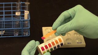 CHM1032L Instructional Video Experiment 8 - Acids, Bases, and Buffers