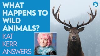 Kat Kerr: What Happens to Wild Animals When they Die? | Sept 21 2022