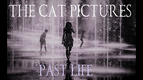 The Cat Pictures (feat. Valeria Lukyanova) - Past Life