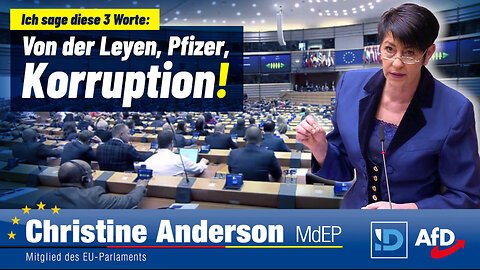 Member of EU Parliament CENSORED on the Floor