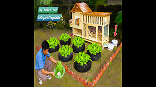 How to make chicken coop | Grow organic vegetables | DIY ideas