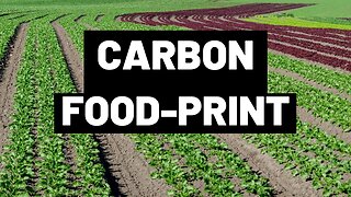 Carbon Food Print | How the food we eat is Impacting the Environment and Health