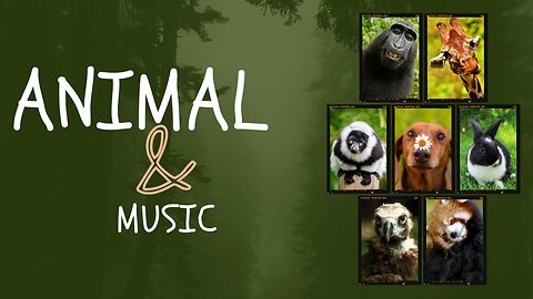 Harmonizing Nature: The Transformative Power of Music on Animals 🎼🎷📢