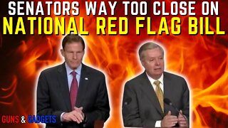 BREAKING: Senators WAY TOO CLOSE On National Red Flag Bill