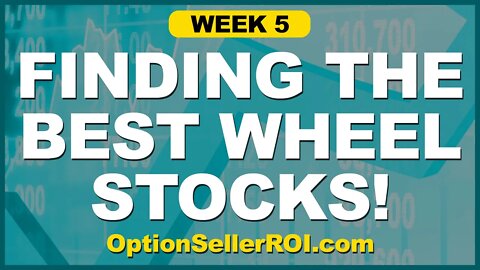 Week 5 Using OptionSellerROI.com - Best Source for Wheel Strategy Stocks!