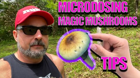 HOW TO MICRODOSE MAGIC MUSHROOMS 🍄 (DOSAGE AND recommendations)
