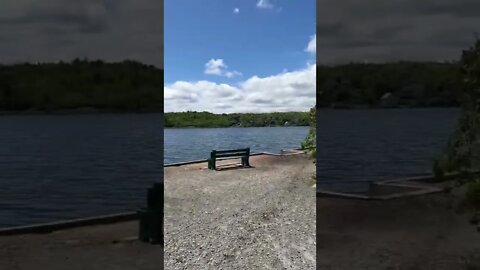 Walking through Point Pleasant Park Halifax