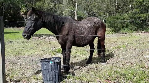 Mum and bub eating together 20181012_094310.mp4