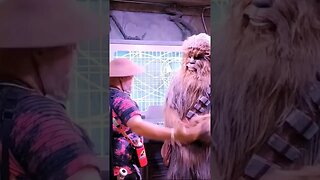 Do I Need To Practice My Wookie 🤔