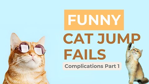 Funny Cat jump fails Part #1