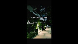 Privacy Fence Bamboo - Living Privacy Walls 407-777-4807 Ocoee Bamboo Farm