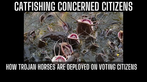 Catfishing Concerned Citizens - How Trojan Horses Are Deployed On Voting Citizens