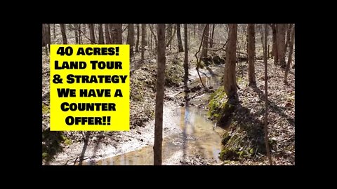 Buying hunting land! We made an offer! PART 3 of our 40 acre property walk & raw land investing tips