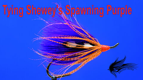 Tying Shewey's Spawning Purple - Dressed Irons