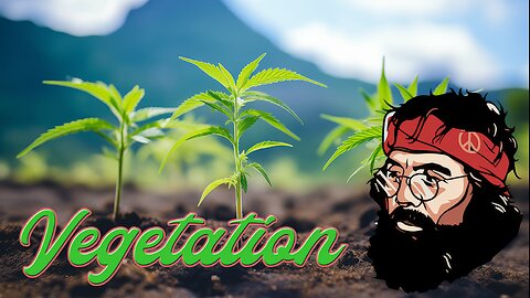 How to Grow Cannabis - Cannabis Vegetation