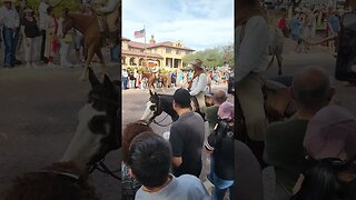 Fort Worth Texas Stockyard Cattle Drive