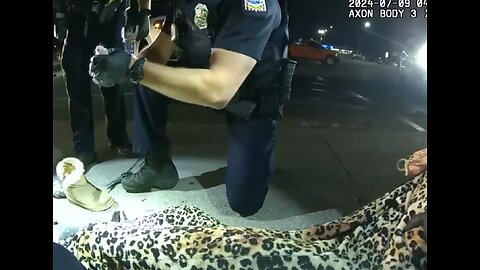 Burglar In Cheetah Print Onesie Hides Stolen Gerbils