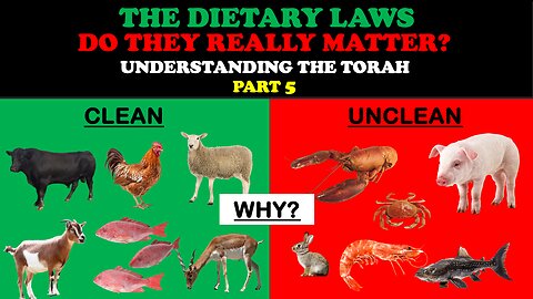 THE DIETARY LAWS: DO THEY REALLY MATTER - UNDERSTANDING THE TORAH PT. 5