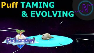 Puff Taming & Evolving Guide - Re:Legend