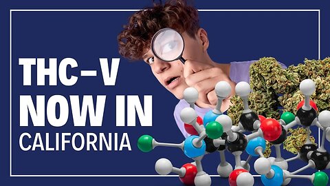 California's Rare Cannabis Discovery: THCV Finally Available After 50 Years