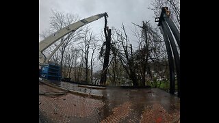 Craning a tree out of the creek