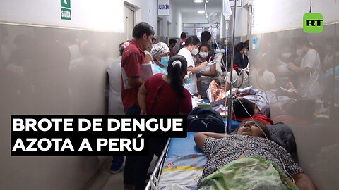 Decenas de muertos por dengue en Perú