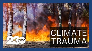 What is wildfire and climate change trauma?