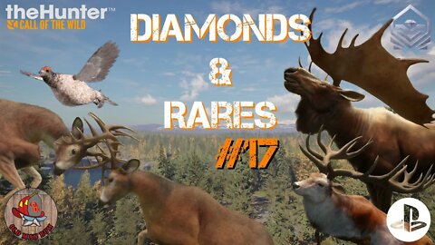 Diamond & Rare montage #17 Console theHunter Call of the Wild