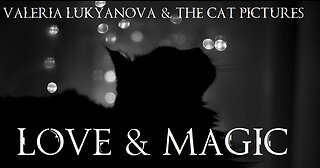 The Cat Pictures (feat. Valeria Lukyanova) - Love & Magic