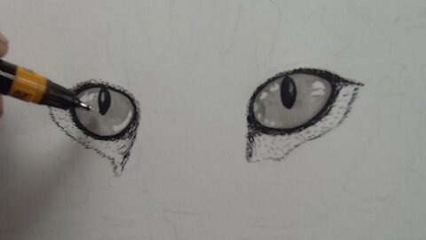 How to Draw Cat Eyes