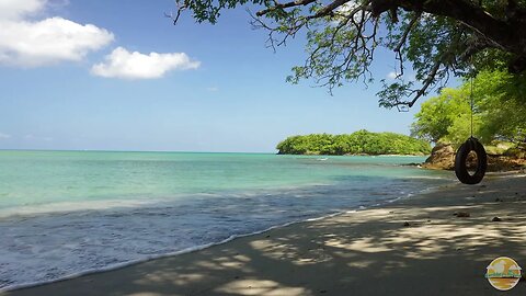 The Perfect Place For A Tire Swing - Ocean Waves Sounds - Nature ASMR