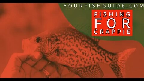 How To Fish For Crappie ~ A MUST WATCH BEFORE FISHING