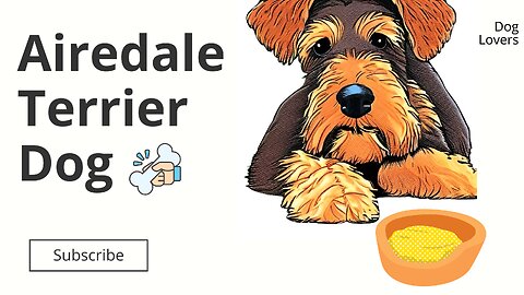 Airedale Terrier Dog Breed: History, Traits, and Characteristics