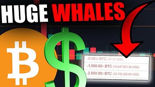 THESE BITCOIN WHALES KNOW SOMETHING WE DON'T [Millions Moved...]