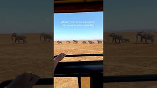 Amboseli National Park | 900 free roaming elephants 🥹