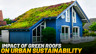 Transforming Cities: The Shocking Impact of Green Roofs