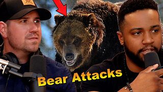 Can You Survive A Bear Attack?