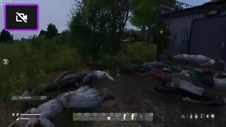 DayZ - On the best PvE server... EVER!!!