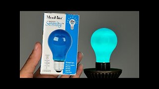 Mood-lites 25-Watt Decorative Blue Incandescent Light Bulb