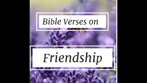 BIBLE VERSES FOR FRIENDSHIP