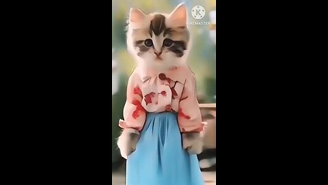 Dancing cat